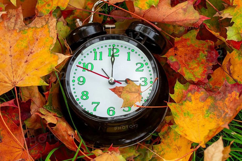 Winter time changeover: close-up of an alarm clock in autumn leaves