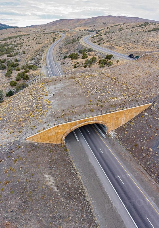 Wells, Nevada - A wildlife overpass on Interstate 80 east of Wells allows elk, deer, mountain lions and other animals to safety cross the freeway, reducing collisions with vehicles