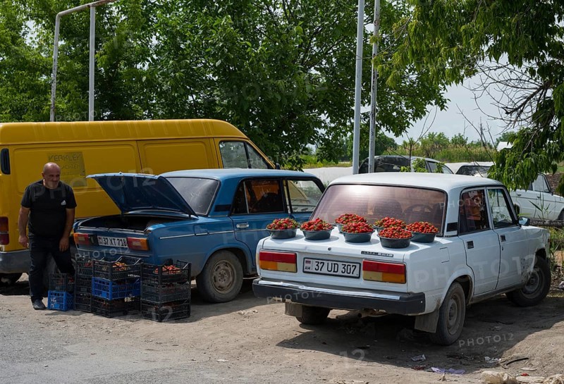 Cars parked at the side of the road, loaded with strawberries. A man stands next to them. Selling strawberries by the roadside, Tsiatsan, Armavir province, Armenia