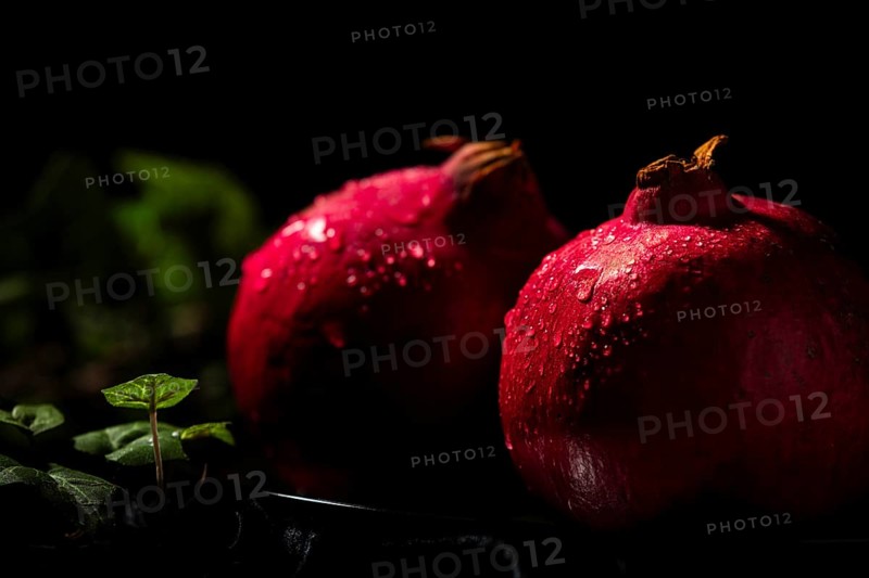 Two pomegranates with drops of water in a dark atmosphere