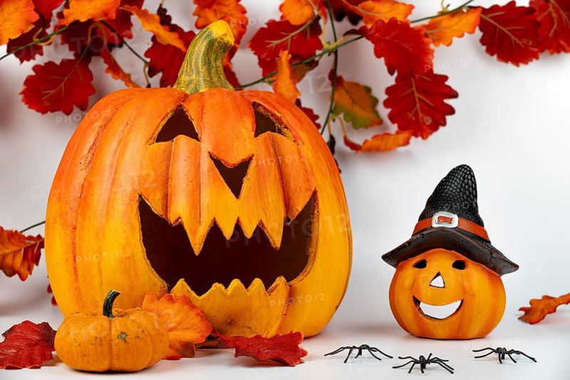 Halloween pumpkins surrounded by autumn leaves and spiders, white background