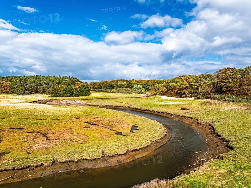 Marshes over Aberlady Bay and Peffer Burn from a drone, Luffness Castle, Aberlady, East Lothian, Scotland, UK