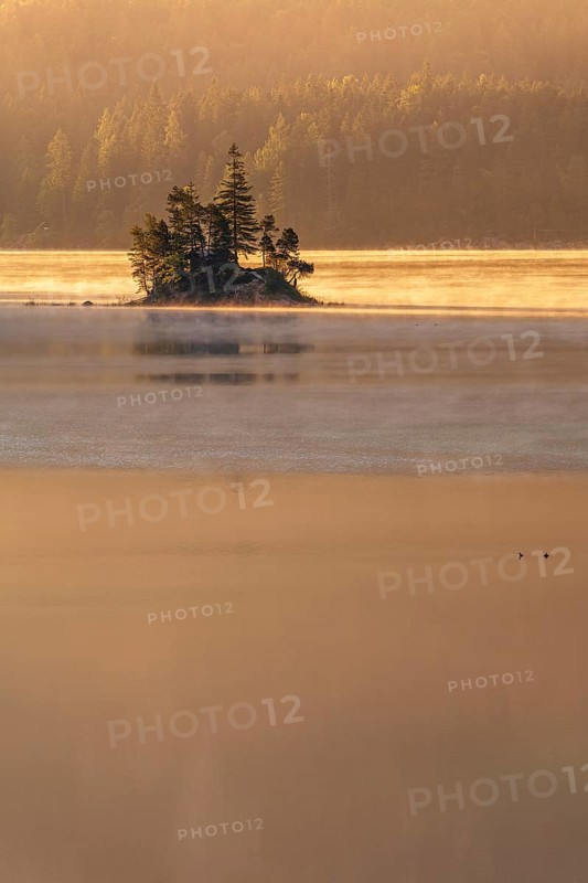 Morning atmosphere at the Eibsee lake, small island in the first light, Grainau near Garmisch-Partenkirchen, Upper Bavaria, Bavaria, Germany
