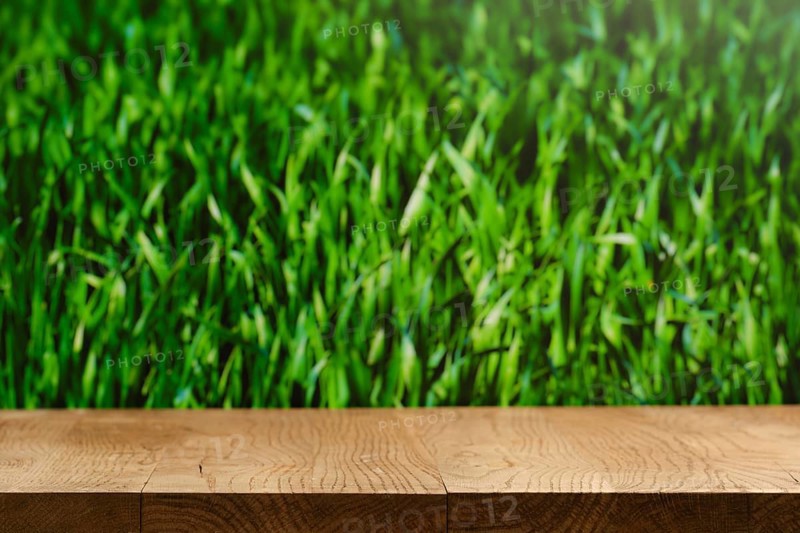 A wooden tabletop is placed in front of a lush green grass background. Sunlight enhances the vivid colors, creating a fresh and natural setting that invites outdoor enjoyment and relaxation