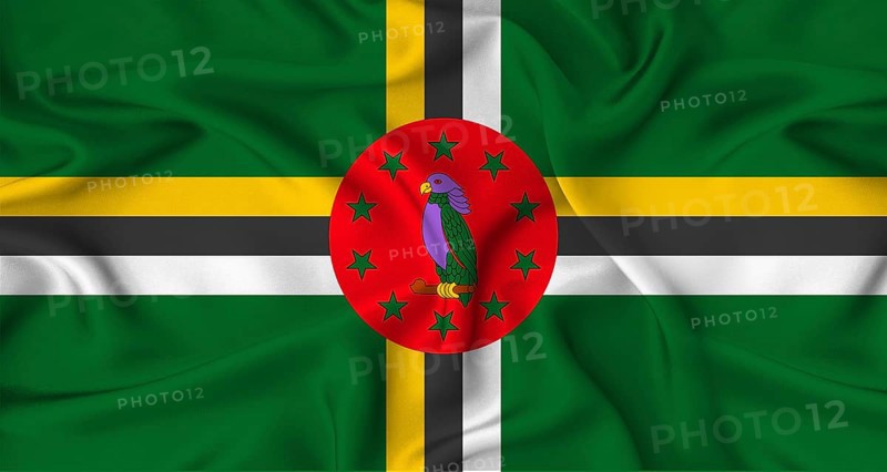 Realistic Dominica flag waving. Close up of flag of Dominica with cloth texture