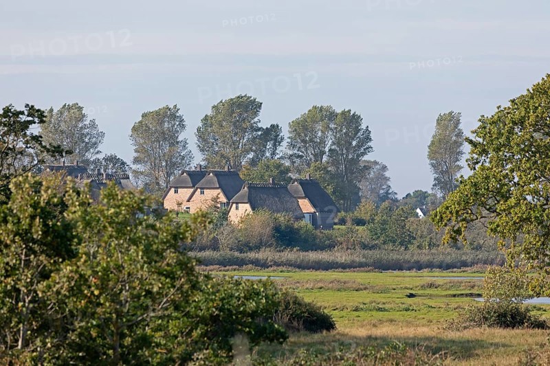 Holiday village Reetdorf Geltinger Birk, Geltinger Birk nature reserve, Geltinger Bucht, Schleswig-Holstein, Germany