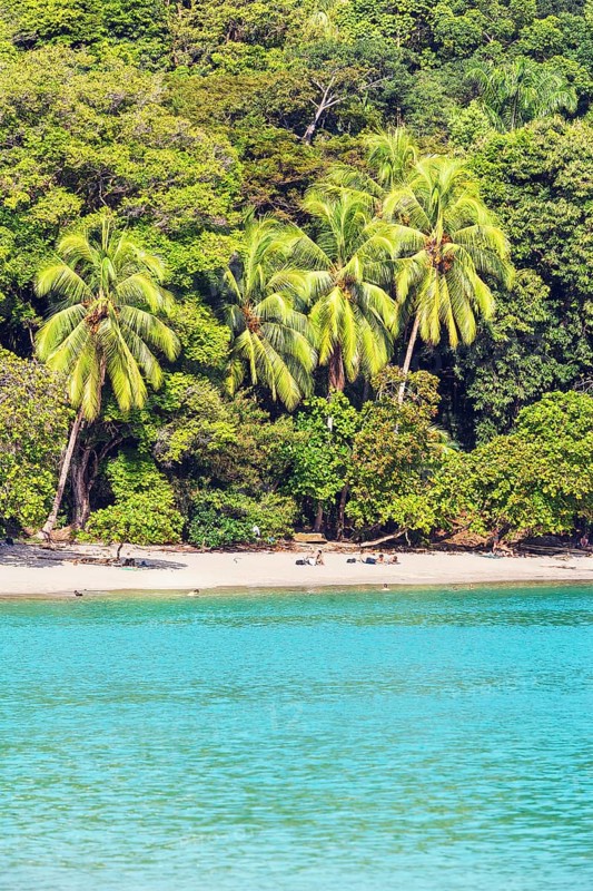 Tropical beach, Manuel Antonio National Park, Quepos, Costa Rica