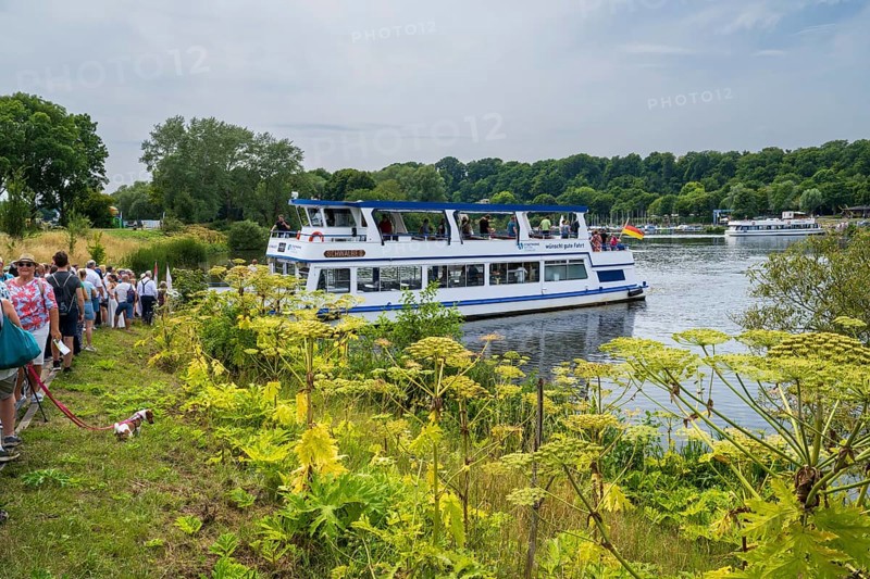 Schwalbe II landing stage at Oelbach, Lake Kemnader, people boarding and disembarking, Heveney, Witten, Ruhr area, North Rhine-Westphalia, Germany