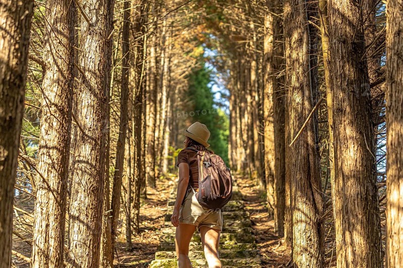 Female tourist wearing hat and backpack walking up stone steps in a beautiful tunnel formed by cypress trees in benia de onis, asturias, spain, enjoying a sunny summer day surrounded by nature