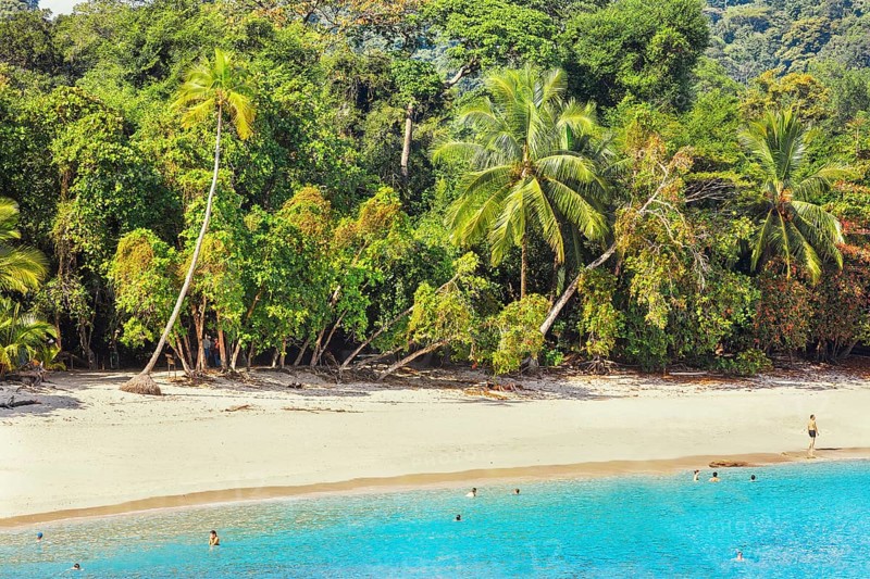 Tropical beach, Manuel Antonio National Park, Quepos, Costa Rica