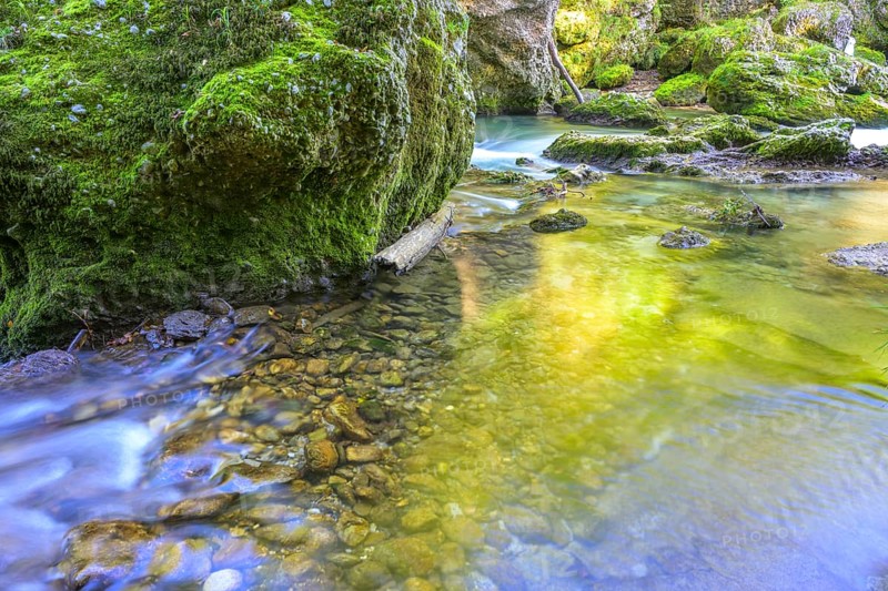 Erlauf Gorge, Purgstall an der Erlauf, Lower Austria, Austria