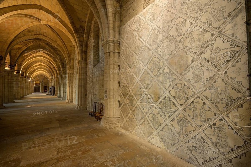 Wall with stone tiles from the 13th century, Abbey of Saint Remi, Reims, Marne, France