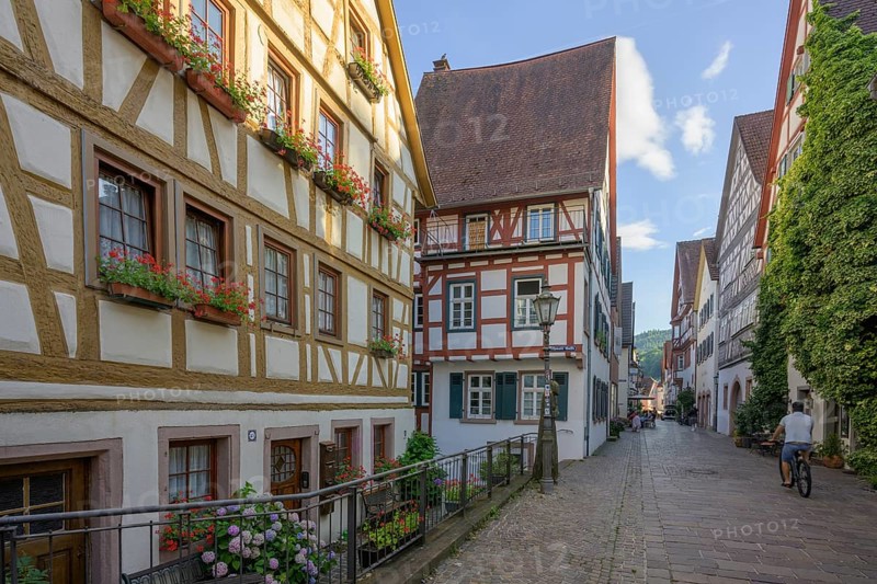 Half-timbered houses in the old town centre, Hirschhorn, Hesse, Germany