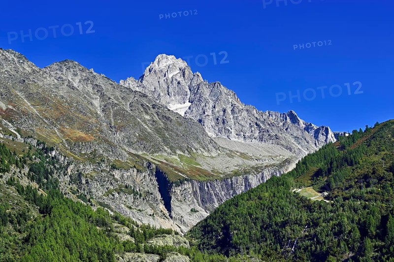 Aiguille du Chardonnet, front foothills of the Argentière glacier, Argentière, Chamonix-Mont-Blanc, Haute-Savoie, France