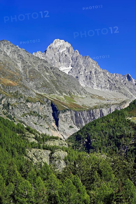 Aiguille du Chardonnet, front foothills of the Argentière glacier, Argentière, Chamonix-Mont-Blanc, Haute-Savoie, France