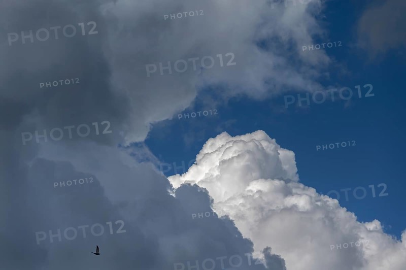 Cluster clouds (cumulus), rain clouds (nimbostratus), Bavaria, Germany