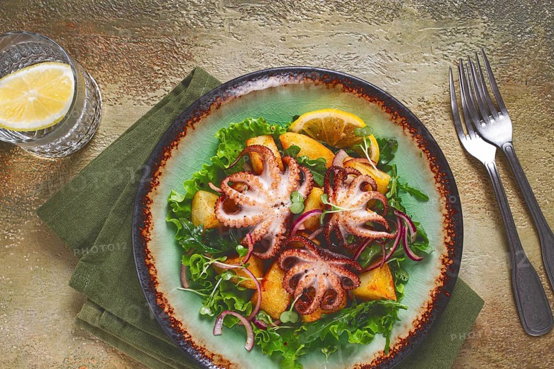 Warm salad, grilled mini octopus, with potatoes and fresh herbs, homemade, no people