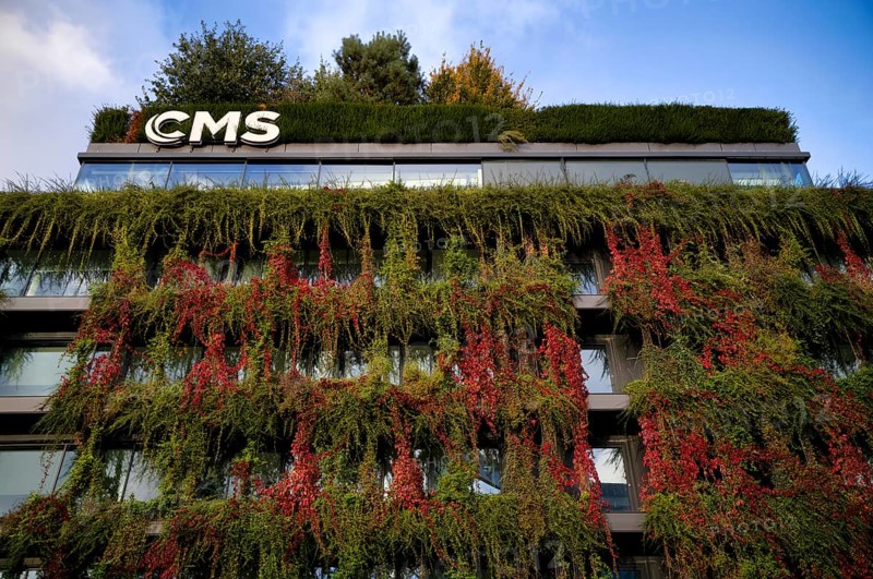 Windows are overgrown, climate-neutral façade greening on the new building, autumn colouring, office building of CMS Hasche Sigle, logo, Calwer Straße, Stuttgart, Baden-Württemberg, Germany
