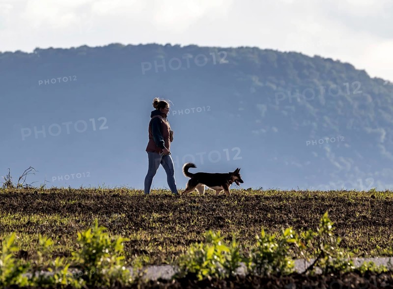 Walking in the backlight. Dog owner with her dog. Kirchheim unter Teck, Baden-Württemberg, Germany
