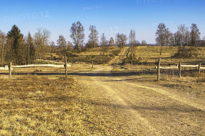 Broad landscape with fields and fences under a clear blue sky. Heaths and rough grassland nature reserve near Trupbach, Siegen