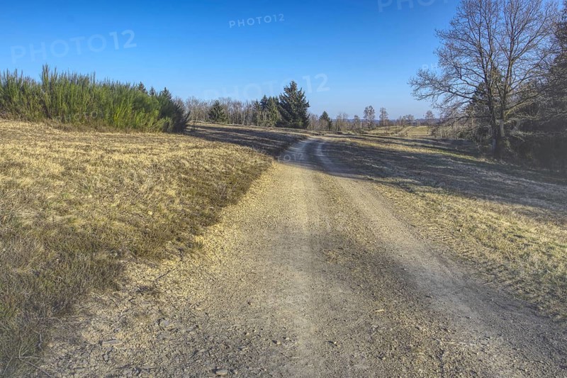 Gravel path between fields and trees under a clear blue sky. NSG heaths and rough grassland near Trupbach, Siegen