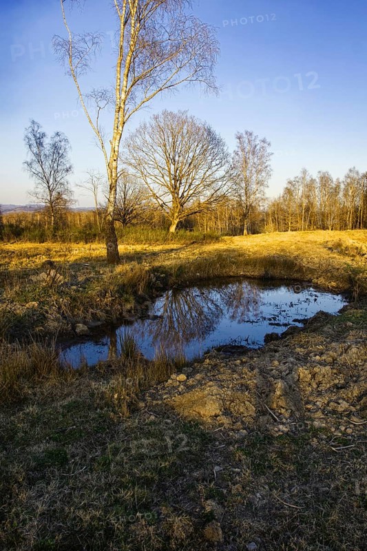 Clear sky over a small pond in an autumn landscape with trees. NSG heaths and rough grassland near Trupbach, Siegen