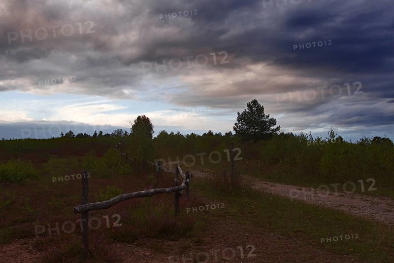 A country lane with an old fence under a cloudy, gloomy evening sky. NSG heaths and rough grassland near Trupbach, Siegen