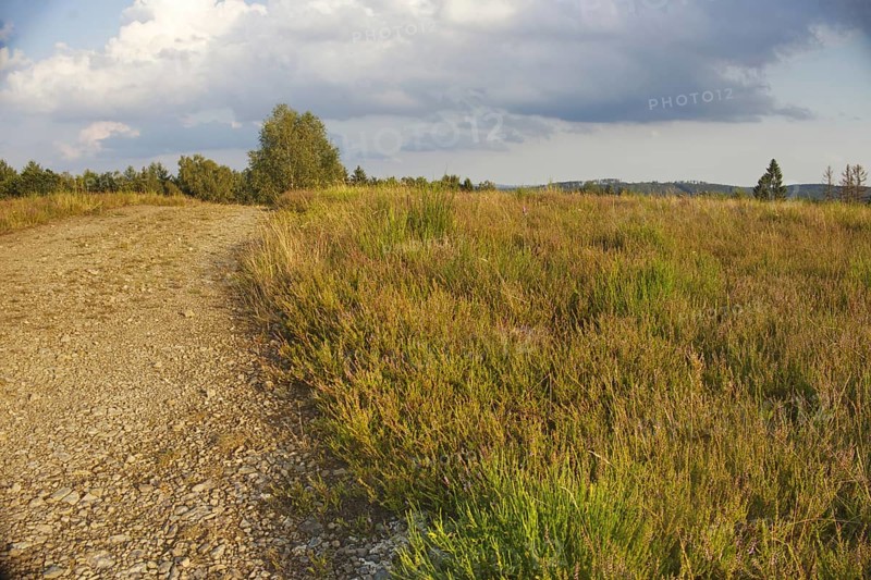 Gravel path through a rural meadow under a cloudy sky. Natural, peaceful surroundings. NSG heaths and rough grassland near Trupbach, Siegen