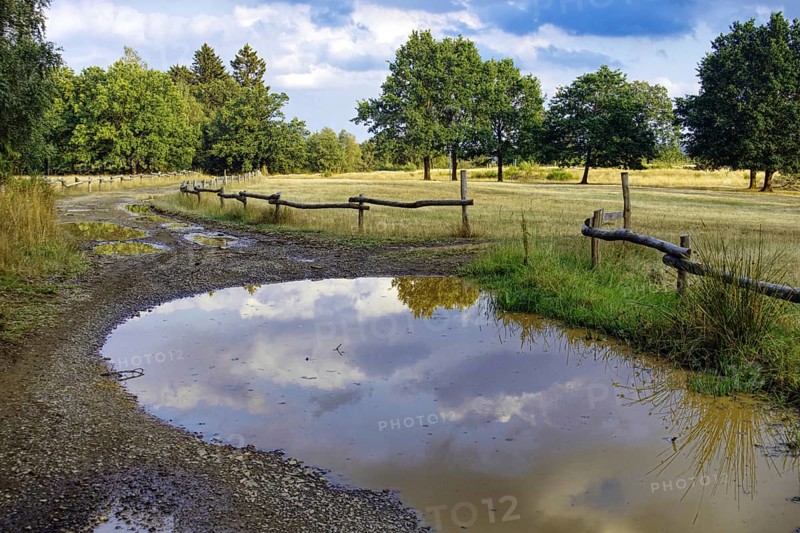 Path with puddles reflecting the sky, lined with trees and a wooden fence. Clouds in the sky. Heaths and rough grassland nature reserve near Trupbach, Siegen