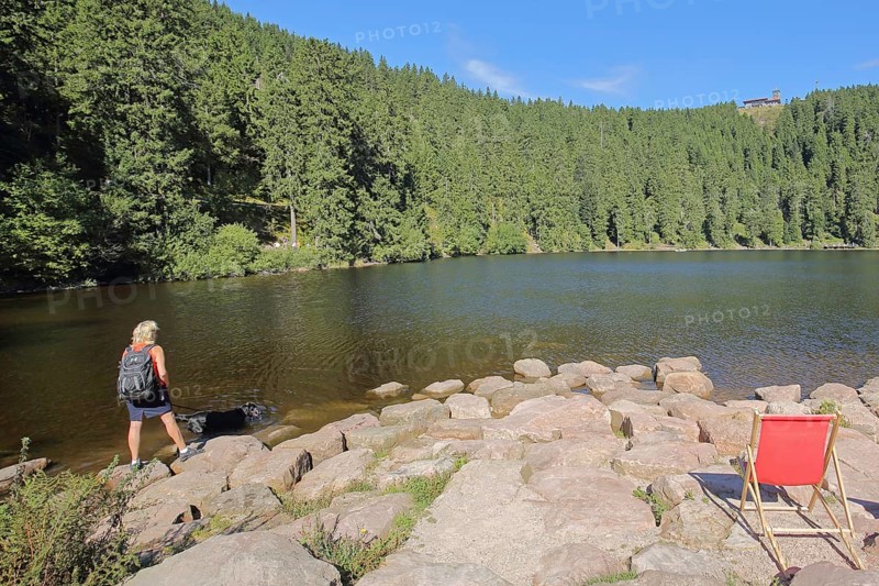 Lake landscape and empty deckchairs with tourist on the lakeshore, mountain, forest, Karsee, mountain lake, mountain station, nature, Mummelsee, Honrisgrinde, Black Forest High Road, Northern Black Forest, Black Forest, Baden-Württemberg, Germany