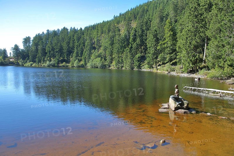 Mermaid sitting on a rock in the water, bronze sculpture, modern art, lake nymph, stone, forest, landscape, lakeside, Karsee, Mummelsee, Honrisgrinde, Black Forest High Road, Northern Black Forest, Black Forest, Baden-Württemberg, Germany