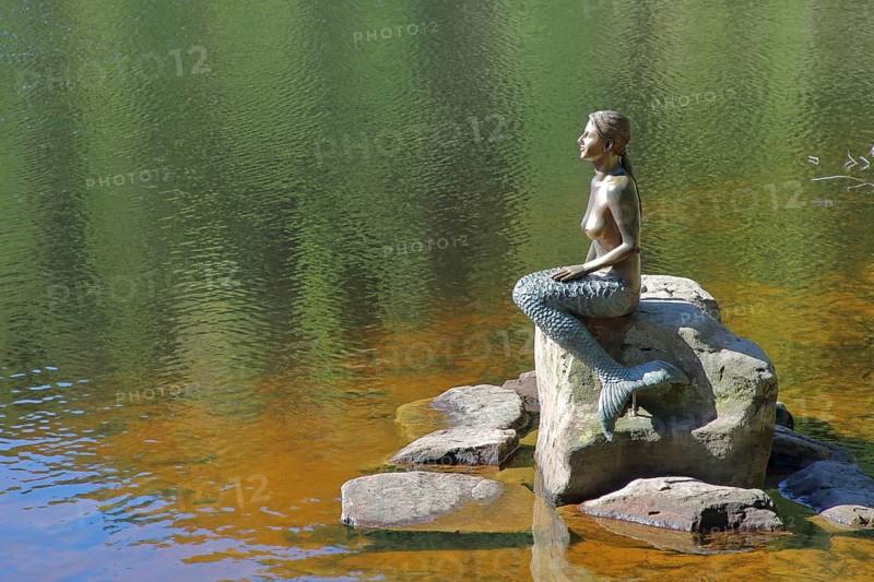 Mermaid sitting on a rock in the water, bronze sculpture, modern art, lake nymph, stone, Mummelsee, Honrisgrinde, Black Forest High Road, Northern Black Forest, Black Forest, Baden-Württemberg, Germany