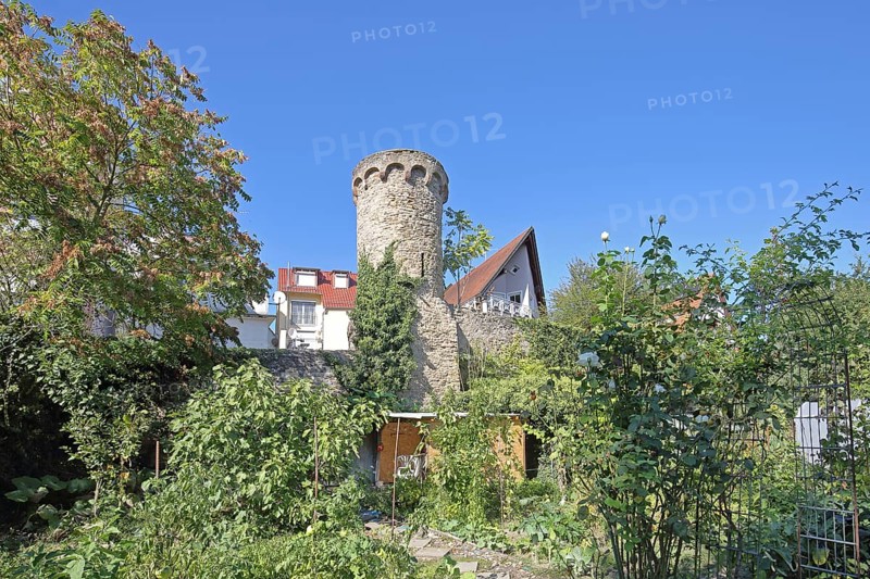 Historic defence defence tower built in the 14th century, town wall, town fortification, allotment garden, Wiesloch, Baden-Württemberg, Germany