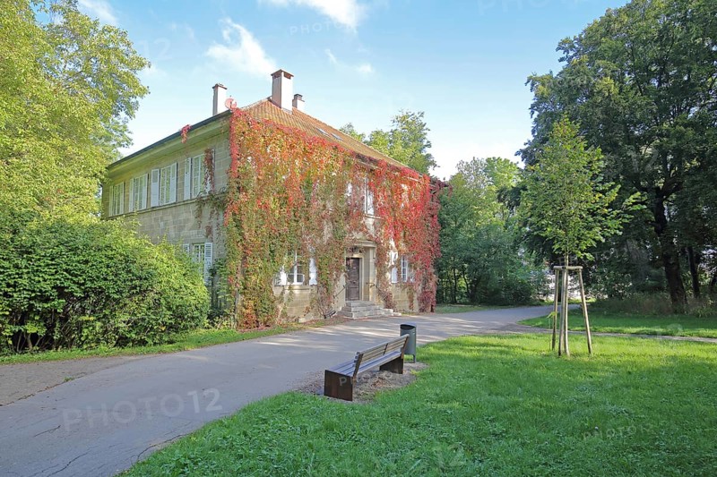 Buildings with ivy in autumn, autumn colours, plant growth, Fürstengarten, Hechingen, Swabian Alb, Baden-Württemberg, Germany