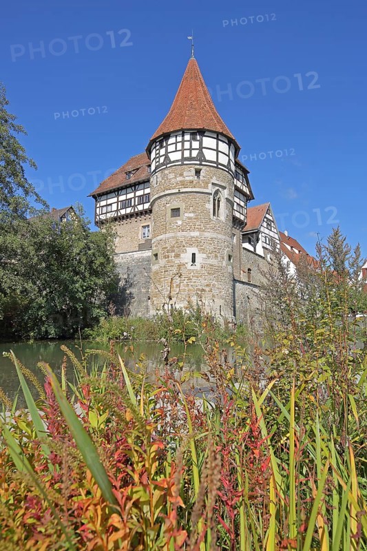 Zollern Castle built ca. 1255 with water tower with grasses, autumn colours, Castle, Balingen, Swabian Alb, Baden-Württemberg, Germany