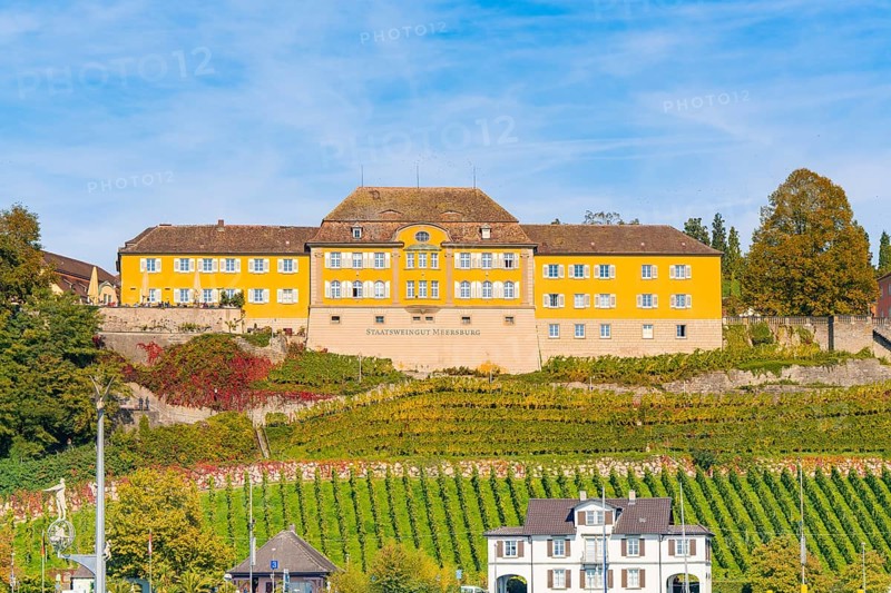Yellow building on a hill surrounded by vines with an autumnal atmosphere, Meersburg, Lake Constance, Germany