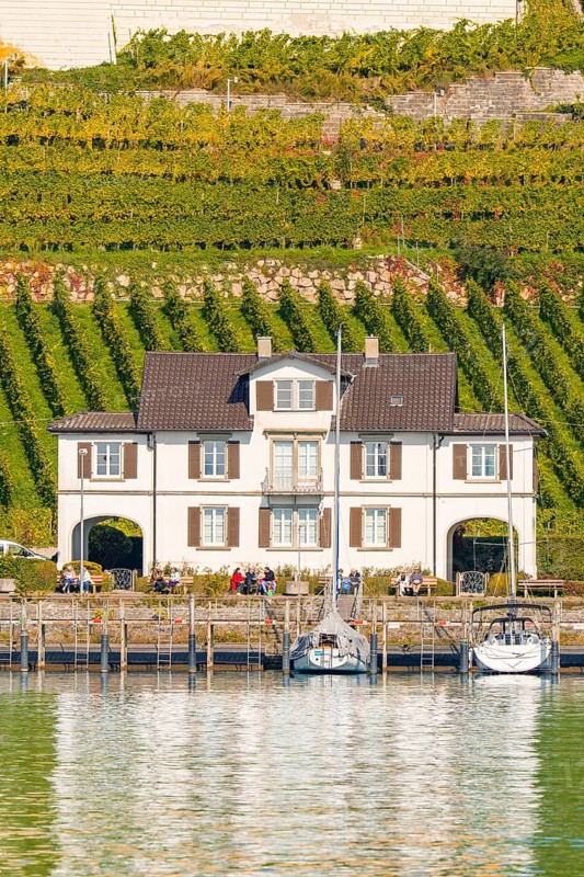 Small house on the lakeshore in front of extensive vineyards with boats in the foreground, Meersburg, Lake Constance, Germany