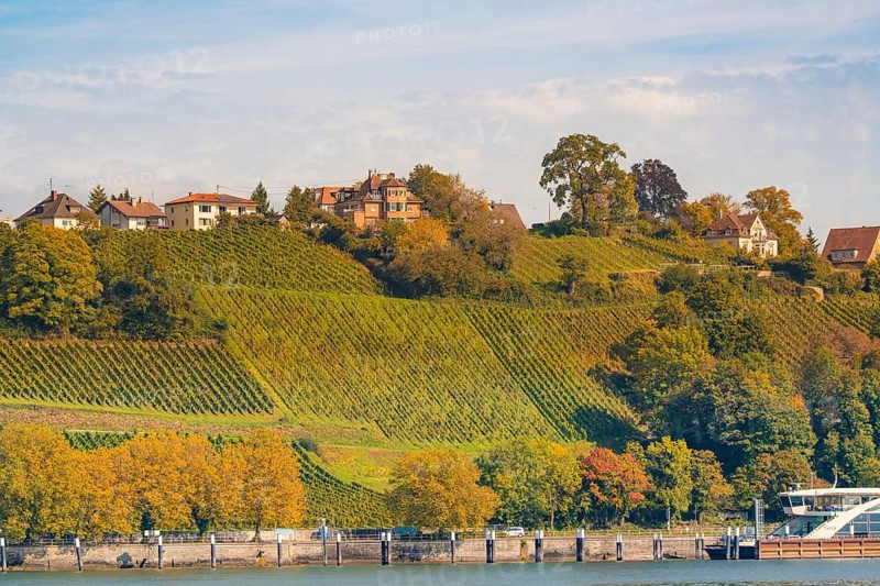 Hills with vineyards and houses in autumn, river in the foreground, Meersburg, Lake Constance, Germany