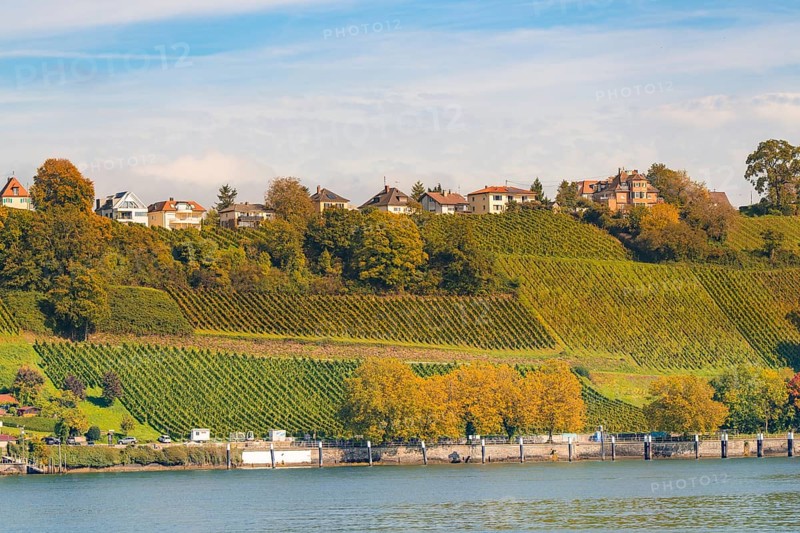 Vineyards stretch over hills with houses, river in the foreground, Meersburg, Lake Constance, Germany