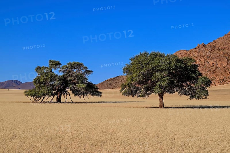 Landscape on the Kanaan farm of the nature conservation organisation Naankuse, Tirasberge, Karas region, Namibia