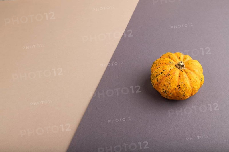 Orange Pumpkin on beige and gray pastel paper background. Side view, copy space, flat lay. healthy food, vegetable, minimalism