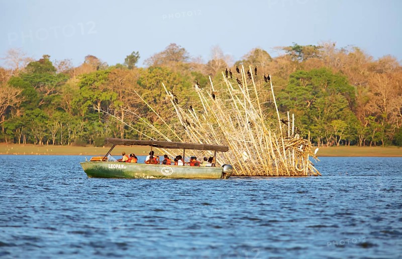 Safari boat on the Kabini Reservoir watching cormorants, Kabini, Karnataka, India