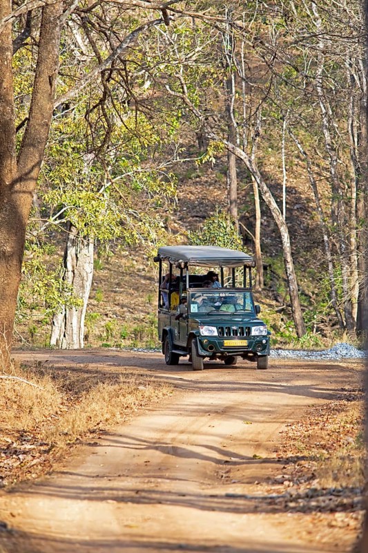 Safari jeep in the dry forest, Nagarahole National Park, Kabini, Karnataka, India