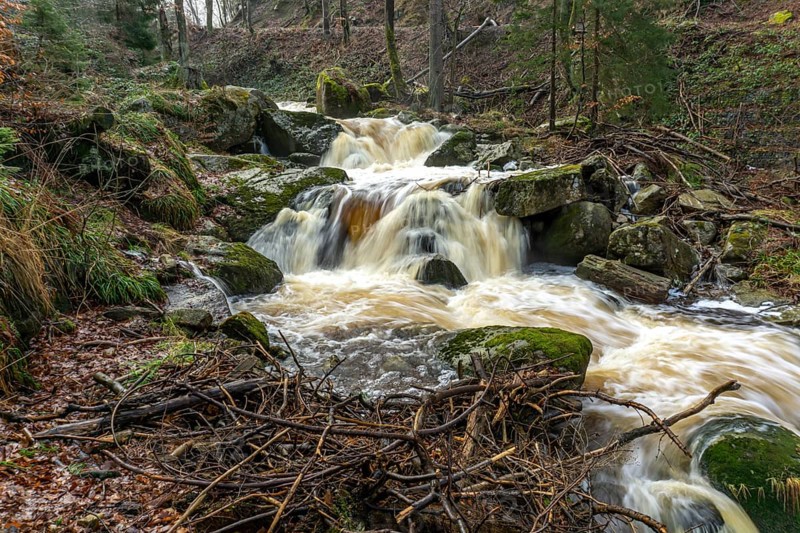 The Ilse at the Heinrich-Heine-Weg near Ilsenburg, Saxony-Anhalt, Germany
