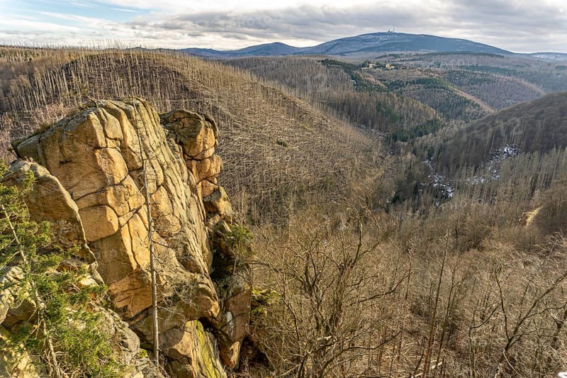 The Rabenklippe and dead trees in the Harz National Park near Bad Harzburg, Lower Saxony, Germany