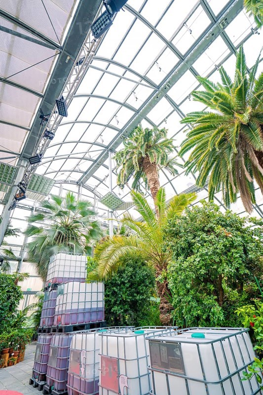 Large tanks and palm trees under a greenhouse roof with an industrial flair, Pepperoni Haus, Mainau flower island, Lake Constance, Germany