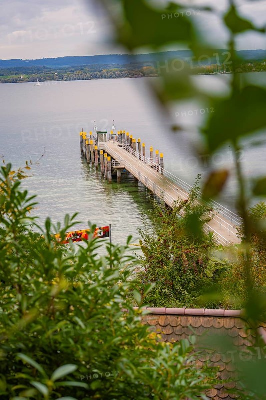 View of a jetty jutting into a calm lake surrounded by lush greenery, Mainau Island, Lake Constance, Germany