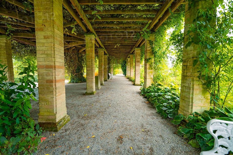 A long gravel path under a pergola covered with plants in a garden, Mainau Island, Lake Constance, Germany