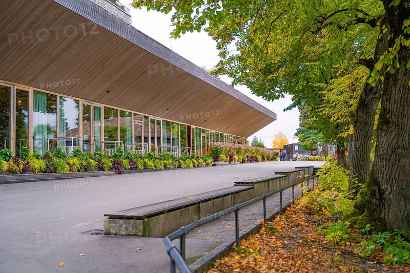 A modern building with large windows, surrounded by trees and falling leaves, Mainau Island, Lake Constance, Germany