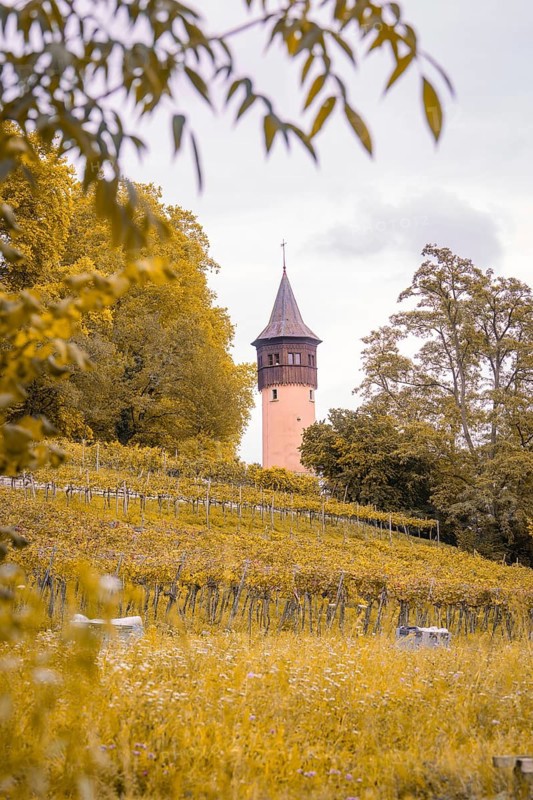 A tall tower rises above autumn vineyards and fields under a cloudy sky, Mainau Island, Lake Constance, Germany
